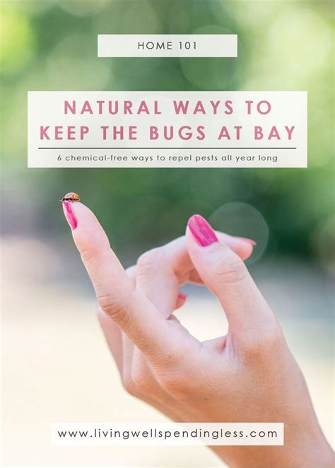 They can be found on many vegetables, flowers, and small fruit in all. Natural Ways to Keep Bugs at Bay | Gardening tips, Tips, Pest control