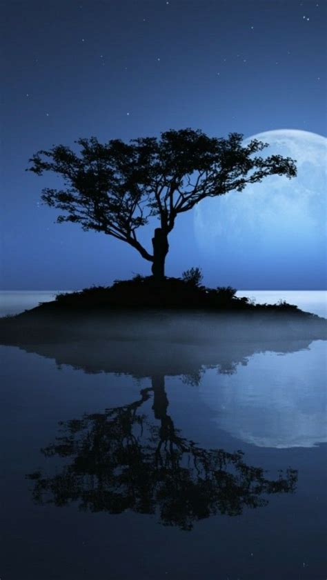 Lone Tree With The Full Moon Reflected In The Night Lake Wallpaper