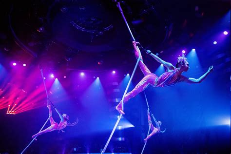 “cirque Du Soleil” Lanza EspectÁculos Gratuitos Online ¡no Te Los