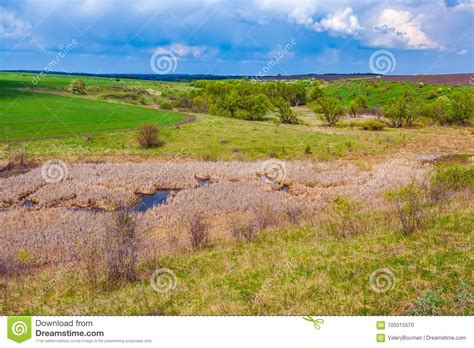 Green Spring In Russia Stock Photo Image Of Outdoor 105015570