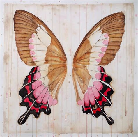 Butterfly Wing Art
