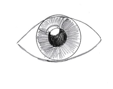 Draw a curved line beneath the nose, and connect it to the nose using another curved line. How to Draw an Eye - Art Starts