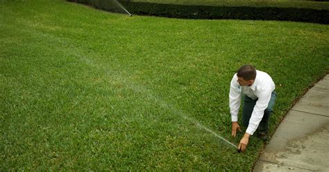 You work hard to keep your house in order. Massey Services - Pest Control, Termite Inspection & Lawn ...