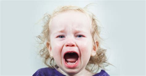 These Are The Best 9 Toddler Tantrum Survival Strategies Mommybites