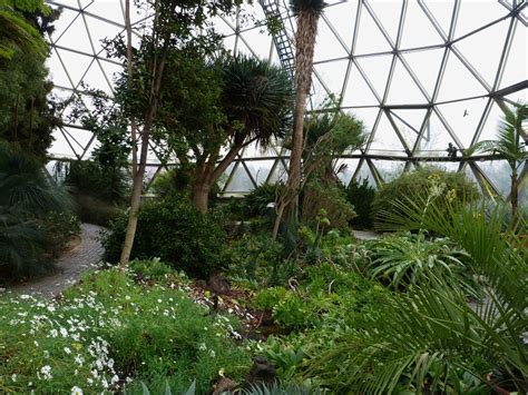 We did not find results for: Botanischer Garten in Düsseldorf | Grillforum und BBQ ...