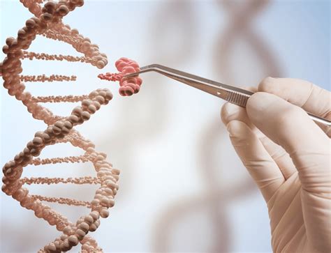 Gene Editing Crispr Technology