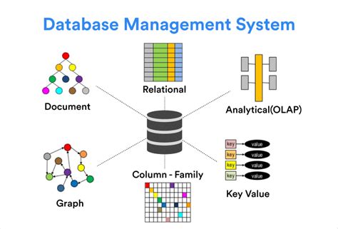 The Basic Elements Of A Database And Dbms Founderjar