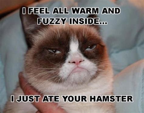 15 Warm And Fuzzy Memes That Will Brighten Up Your Day Funny Work Jokes