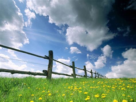 Free download Best Desktop HD Wallpaper Spring Wallpapers [1600x1200