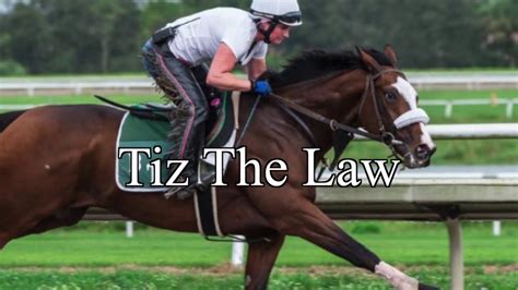 Breeders Cup Tiz The Law And Aristeia Update Youtube