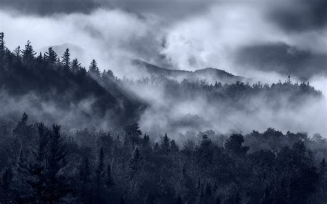 Wallpaper X Px Clouds Forest Landscape Mist Monochrome Morning Mountain Nature