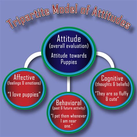 Module 5 Attitudes Principles Of Social Psychology