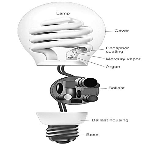 What Is Fluorescent Lamp Working Principle Of Cfl Electrical
