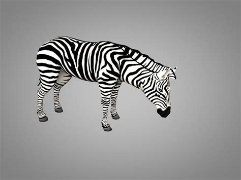 3d Model Zebra Running Vr Ar Low Poly Rigged Animated Cgtrader