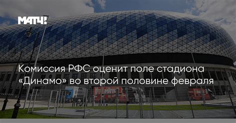 Комиссия РФС оценит поле стадиона «Динамо» во второй половине февраля