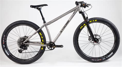 Strong Frames And Titanium 29er Plus Rohloff Belt Drive Anthony A