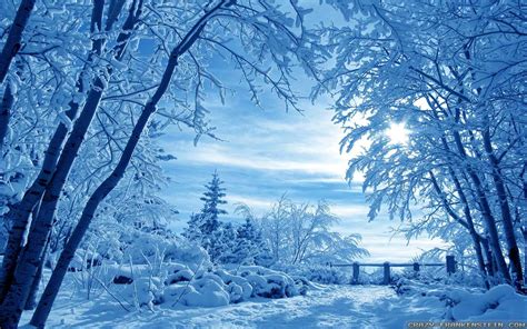 Winter Nature Wallpapers Top Free Winter Nature Backgrounds