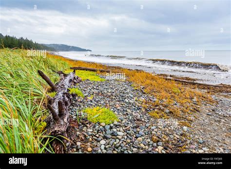 Coastal Ocean Views Haida Gwaii British Columbia Canada Stock Photo Alamy