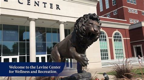 Levine Center Tour Recreation Fitness And Swimming Facility Youtube