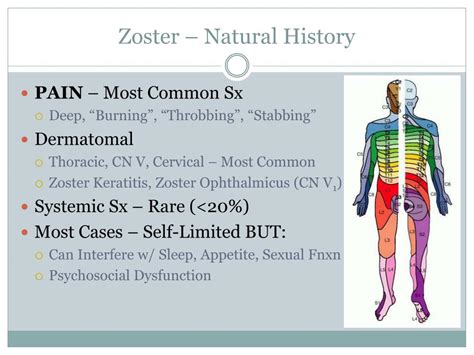 Ppt Herpes Zoster And Post Herpetic Neuralgia Powerpoint Presentation