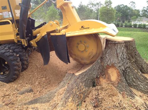 What You Need To Know About Stump Grinding And Why Its Necessary Au News