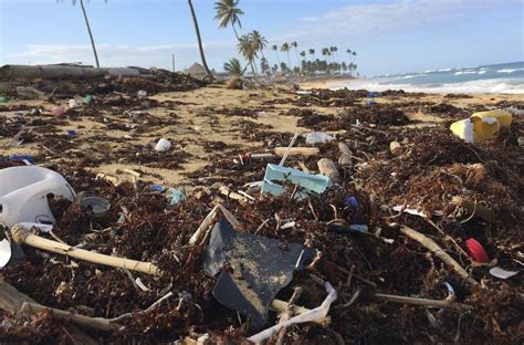 Millones De Personas Sufrirán Escasez De Recursos Naturales Para 2050