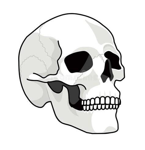 Skull Face Side View Black And White Drawing Skull Icon Black And