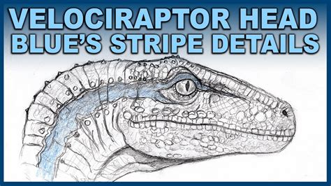 Raptor Head Drawing