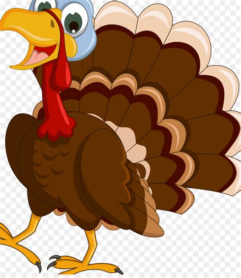 Cartoon Turkey Png 20 Free Cliparts Download Images On Clipground 2021