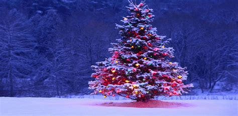 Christmas Tree Live Wallpaper Uk Appstore For Android