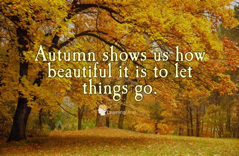 5 Lessons The Fall Season Teaches Us About Life Learning Mind
