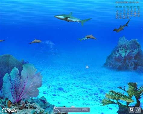 Crawler 3d Marine Aquarium Download
