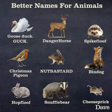 Continued Animal Education Funny Animal Names Cute Animal Quotes