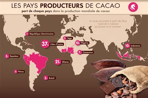 La Récolte Du Cacao Histoire Du Chocolat Chocolaterie Cacao