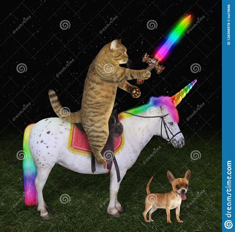 This puppy may not be quite as unique as a unicorn, but he's close: Cat On The Unicorn Near A Dog Stock Photo - Image of grass, luminous: 128306978