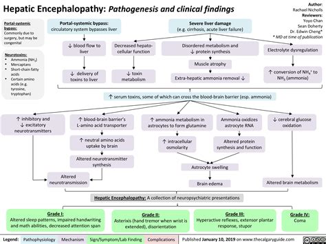 Hepatic Encephalopathy Pathogenesis And Clinical Findings Calgary Guide