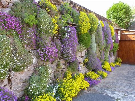 Épinglé sur Jardin