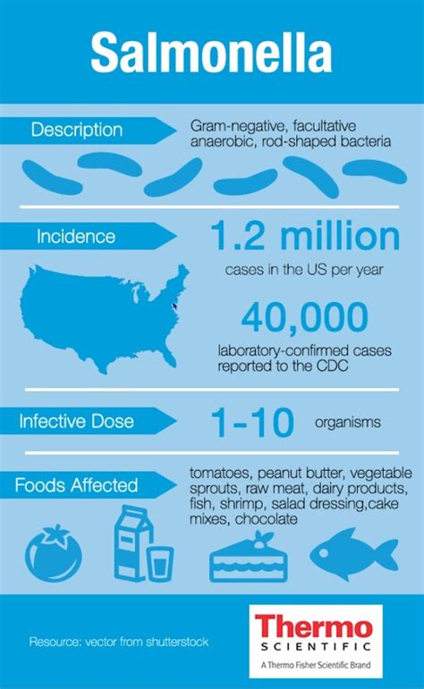Salmonella Fact Sheet
