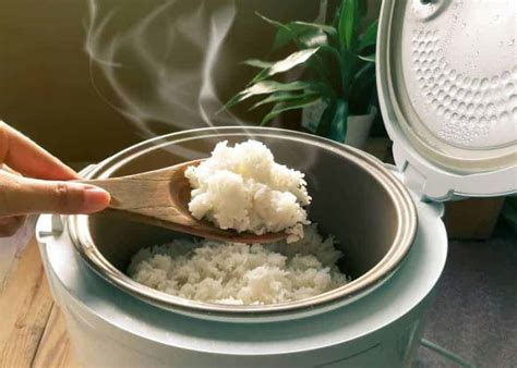 The 7 Best Rice Cookers For Sticky Rice 2022 Reviews