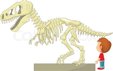 Cartoon Boy With Dinosaur Skeleton At The Museum Stock Vector Colourbox