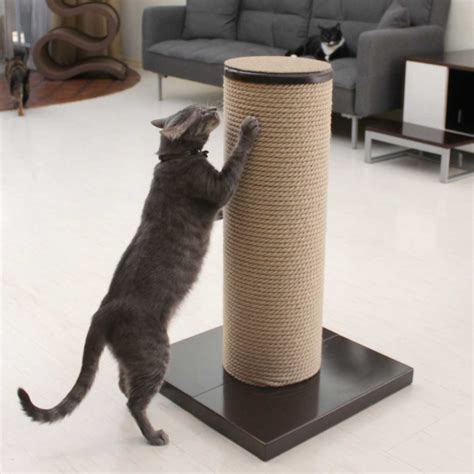 Maxscratch Oversized Cat Scratching Post And Perch Catsplay Superstore