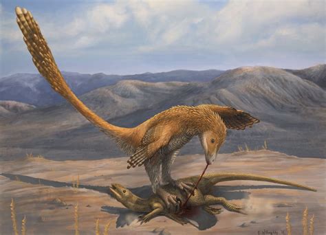 10 Facts About Deinonychus The Terrible Claw