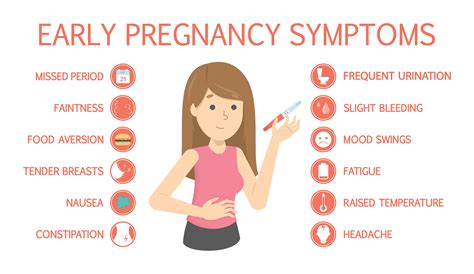 10 Interesting Pregnancy Facts My Interesting Facts