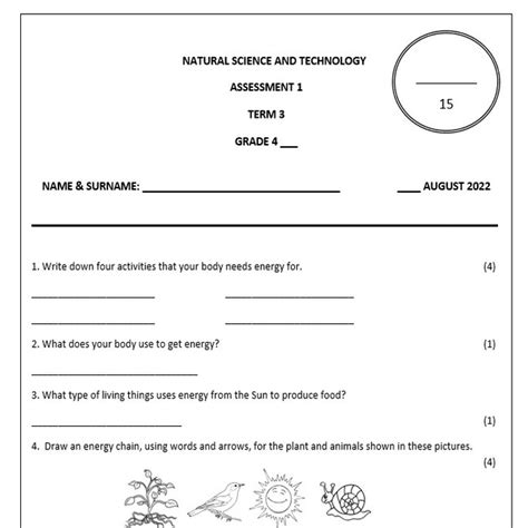Natural Science And Technology Grade 4 Term 3 Assessmenttest 2022