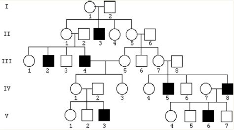 Solved Does The Following Pedigree Depict An Autosomal Re