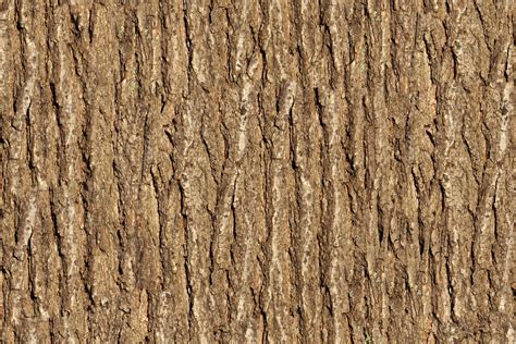 Wooden Tree Texture Print A Wallpaper
