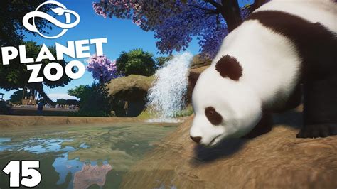 Enclos Panda GÉant Planet Zoo Royleviking Fr Hd Pc Youtube