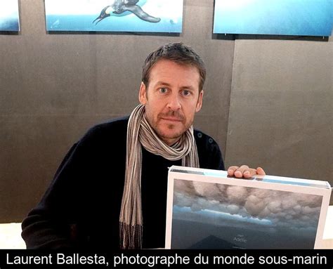 Laurent Ballesta Photographe Du Monde Sous Marin