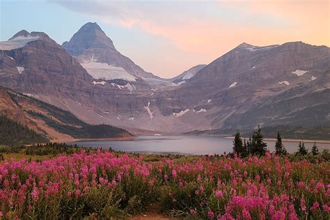 Mount Assiniboine Park Reservations Province Of British Columbia Bc