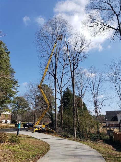 For almost 30 years, safeco tree service has provided a variety of services to many satisfied customers in loganville, ga. Lawrenceville GA Tree Service | E-Z Out Tree Service ...